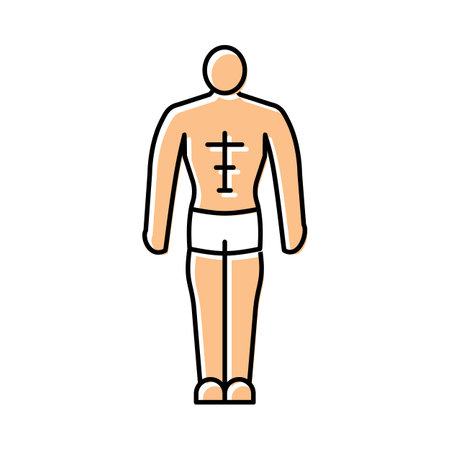 mesomorph male body type color icon vector illustrationのイラスト素材