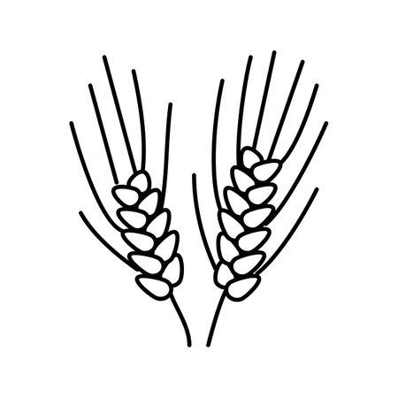 semolina plant healthy line icon vector illustrationのイラスト素材