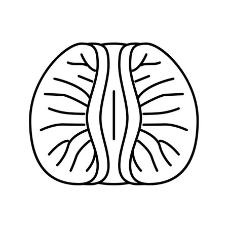 peeled tangerine slice line icon vector illustrationのイラスト素材