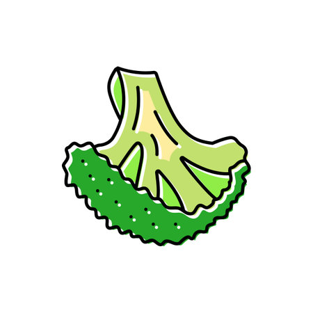 cut broccoli color icon vector illustrationのイラスト素材