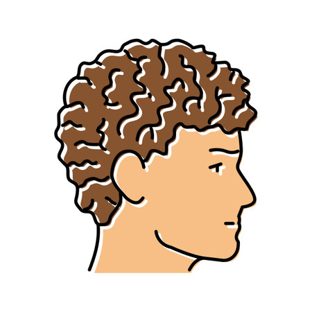 curly male hairstyle male color icon vector illustrationのイラスト素材