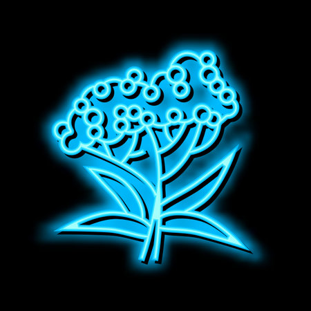 elderberry tree branch neon glow icon illustrationのイラスト素材