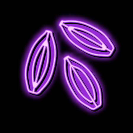 barley grain unpeeled color icon vector illustrationのイラスト素材