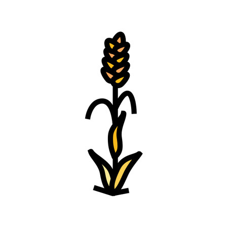 plant ripe yellow wheat color icon vector illustrationのイラスト素材