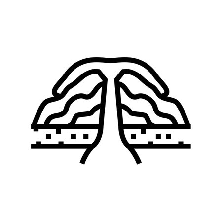 shield volcano lava line icon vector illustrationのイラスト素材