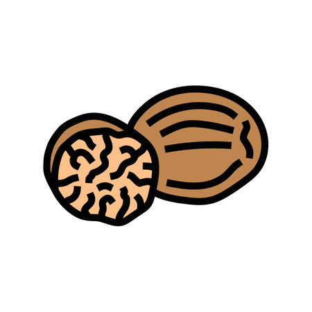 nutmeg food herb color icon vector illustrationのイラスト素材