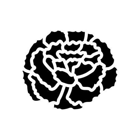 marigold blossom spring glyph icon vector illustrationのイラスト素材