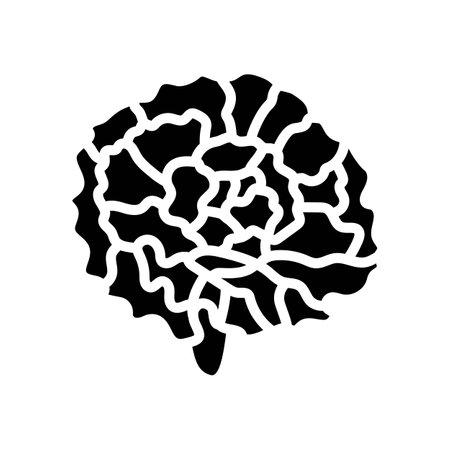 carnation blossom spring glyph icon vector illustrationのイラスト素材