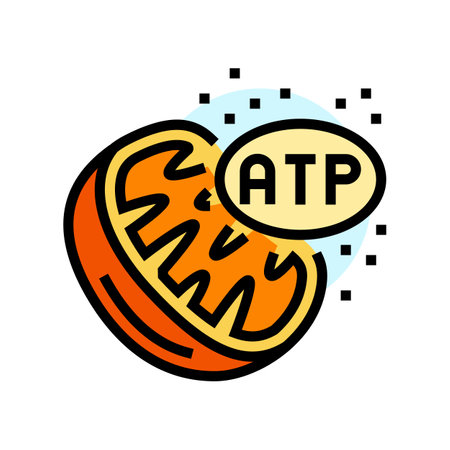 cellular respiration biochemistry color icon vector illustrationのイラスト素材