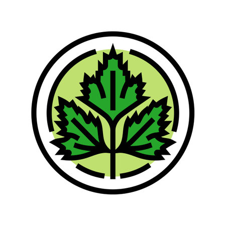 cilantro cosmetic plant color icon vector illustrationのイラスト素材