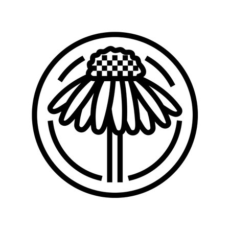 cone flower cosmetic plant line icon vector illustrationのイラスト素材