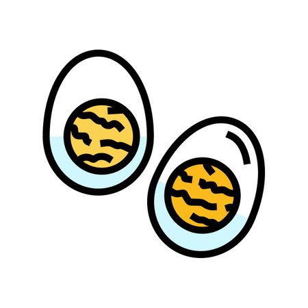 boiled egg food color icon vector illustrationのイラスト素材