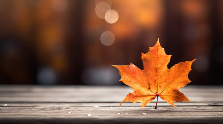 tree maple bokeh wood macroの素材