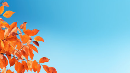 decorative leaf frame vibrant artisticの素材