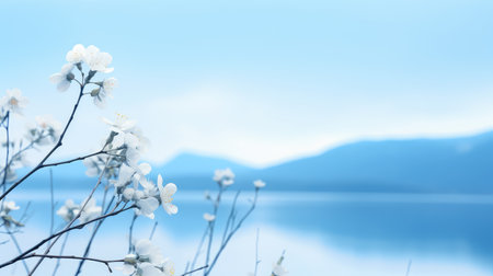 light environment blue day captivatingの素材