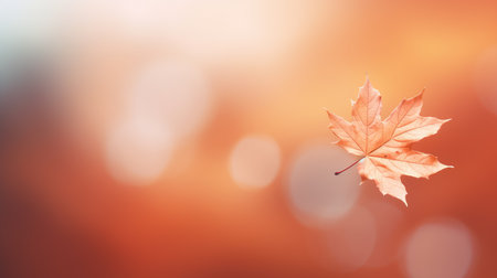 texture orange color blur mesmerizingの素材