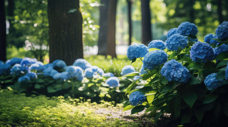 green plant blue outdoor enchantingの素材