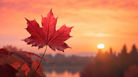 background park red sky closeの素材