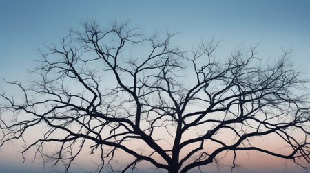 nature tree outdoor environment bareの素材