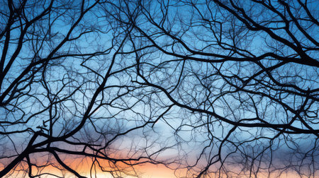 sky weather blue sunset sunsetの素材