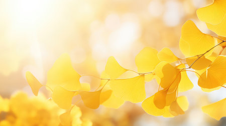 background yellow colorful sun abstractの素材