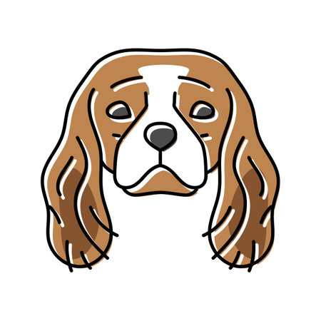 cavalier king charles spaniel dog puppy pet color icon vector illustrationのイラスト素材