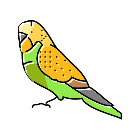 budgerigar parakeet bird parrot color icon vector illustrationのイラスト素材