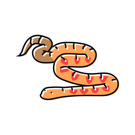 corn snake animal snake color icon vector illustrationのイラスト素材