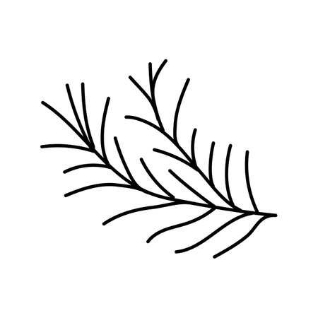 rosemary food herb line icon vector illustrationのイラスト素材