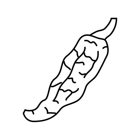 paprika food herb line icon vector illustrationのイラスト素材
