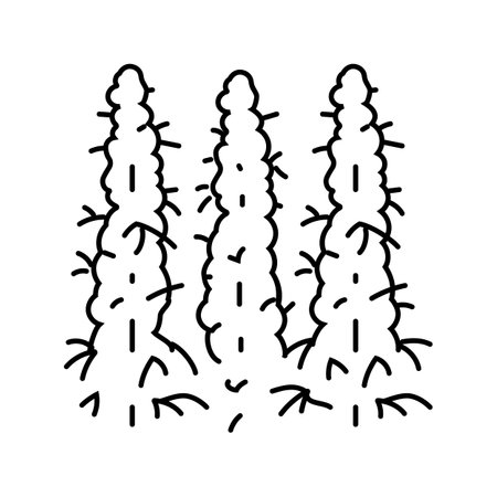 cannabis field line icon vector illustrationのイラスト素材