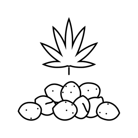 cannabis seeds line icon vector illustrationのイラスト素材