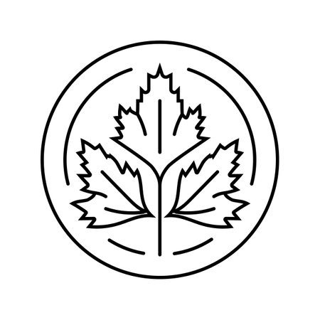 cilantro cosmetic plant line icon vector illustrationのイラスト素材