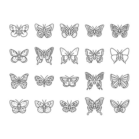 butterfly summer spring insect icons set vectorのイラスト素材