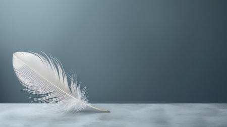 plain empty grey backgroundの素材