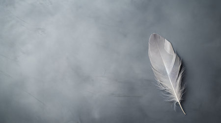 simple empty grey backgroundの素材