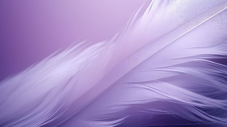 color violet purple backgroundの素材