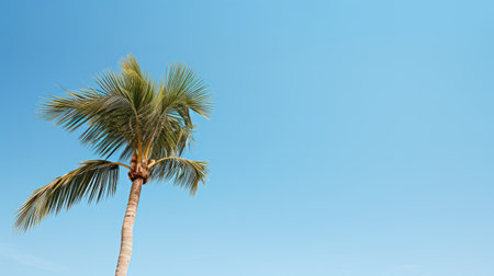 beach minimal summer backgroundの素材