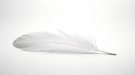 clean wallpaper white backgroundの素材