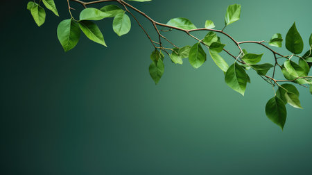 environment leaf green backgroundの素材