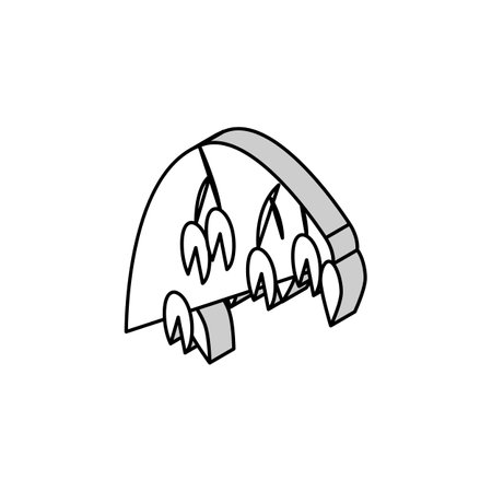 ear oatmeal isometric icon vector illustrationのイラスト素材