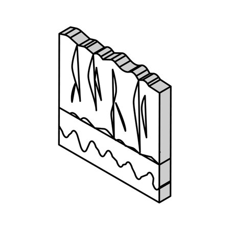 signs of ageing skin isometric icon vector illustrationのイラスト素材