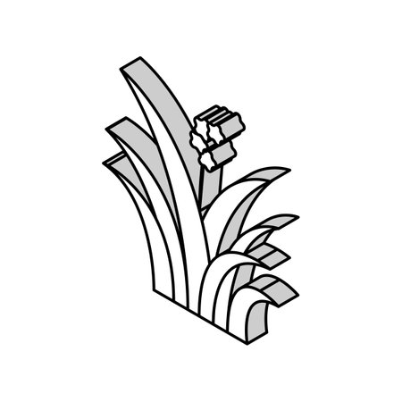 herbal leaf isometric icon vector illustrationのイラスト素材