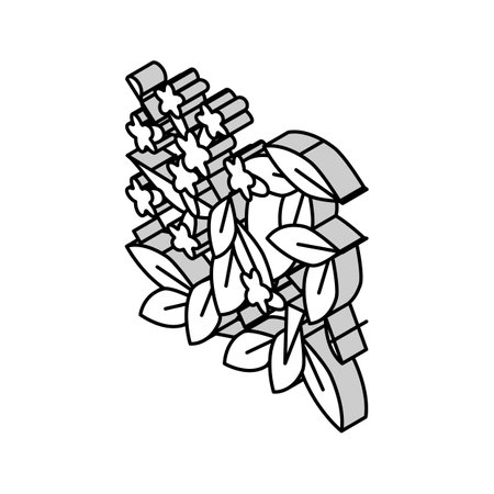 bignonia capreolata isometric icon vector illustrationのイラスト素材