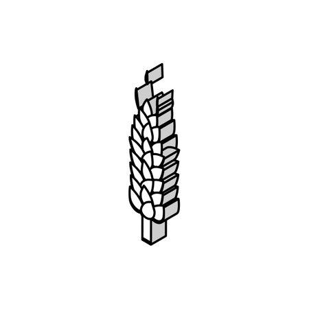 spikelet yellow wheat isometric icon vector illustrationのイラスト素材