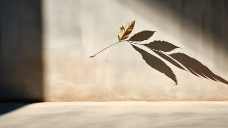 foliage shadow leaves backgroundの素材