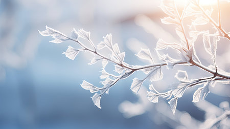 ice white landscape backgroundの素材