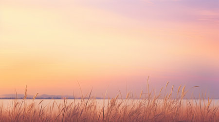 gentle soft colorful backgroundの素材