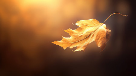 bright light leaves backgroundの素材