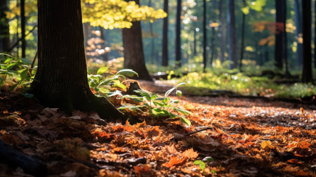 seasonal bright leaves backgroundの素材